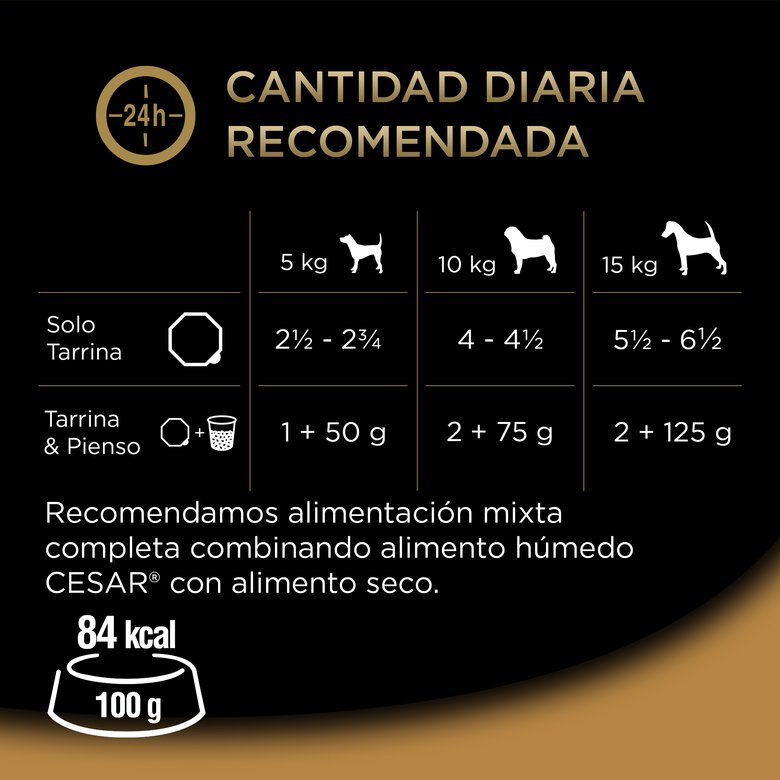 Cesar Receita camponesa Terrina em Molho para Cães - Multipack, , large image number null